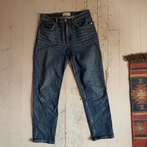 Everlane cheeky straight jean